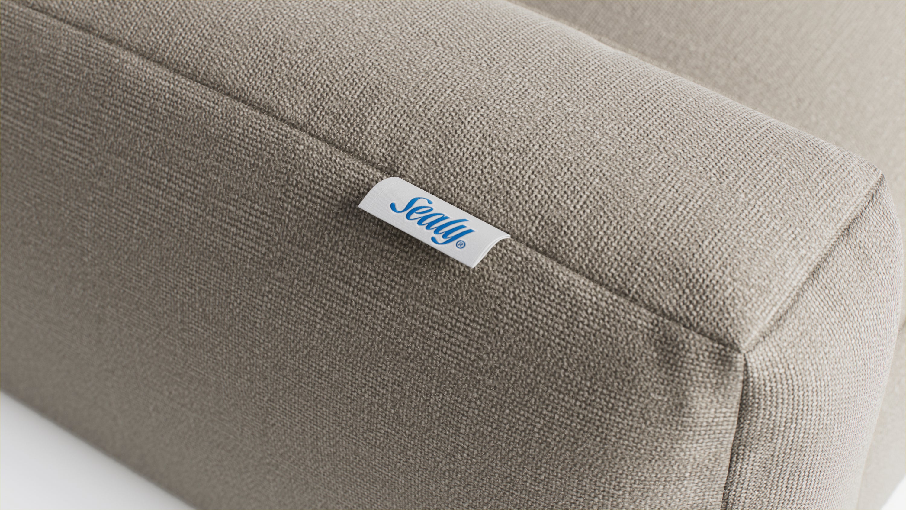 Sealy® Cloud Couch