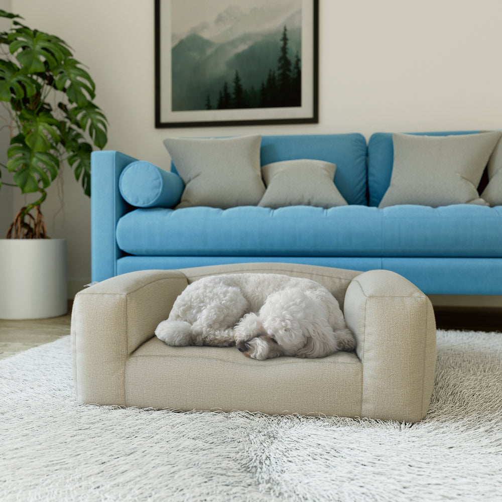 Sealy® Cloud Couch