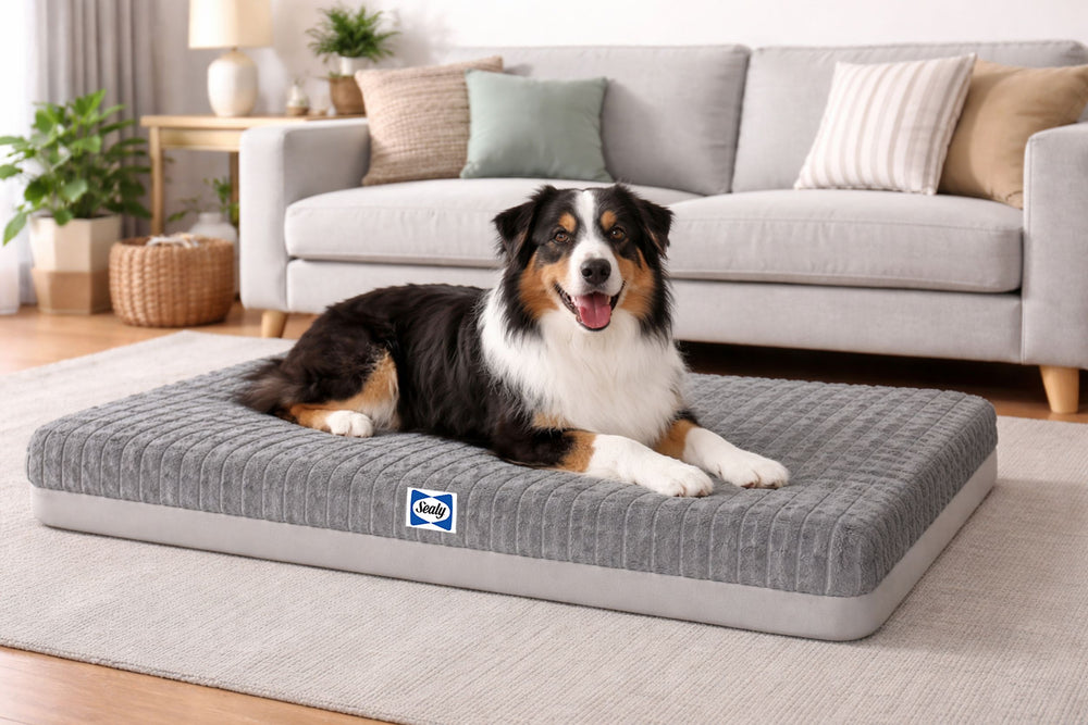 Sealy® Sculpted Faux Fur Memory Foam Crate Mat