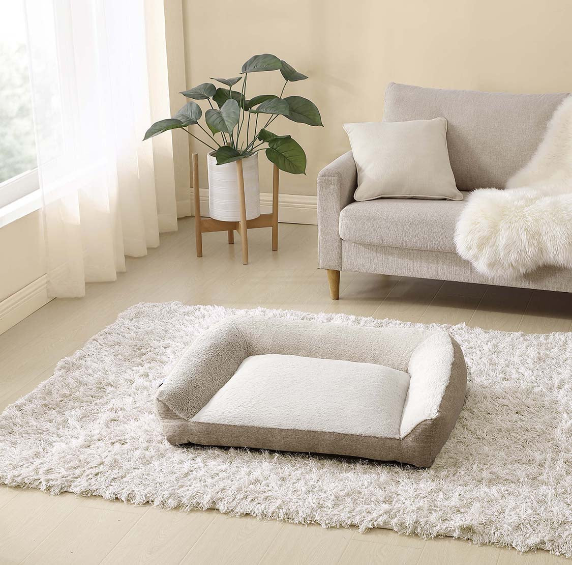 Sealy® Pet Bed Collection – Sealy Pet
